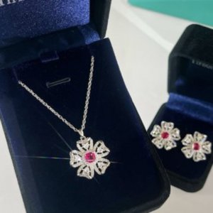 新款??TIFFANY&Co.蒂芙尼四叶草红宝石项链 耳钉 新款??TIFFANY&Co.蒂芙尼四叶草红宝石项链 耳钉